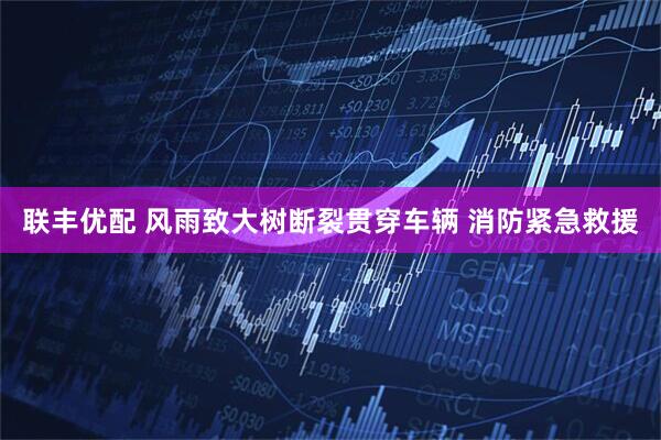 联丰优配 风雨致大树断裂贯穿车辆 消防紧急救援
